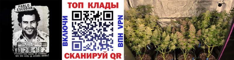 Где купить наркоту Хадыженск Гашиш  Канабис  КОКАИН  Мефедрон 