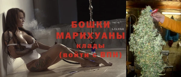 сатива Надым