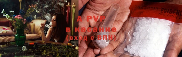 ПСИЛОЦИБИНОВЫЕ ГРИБЫ Навашино