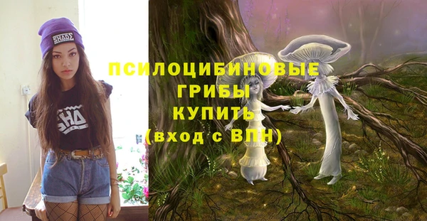ПСИЛОЦИБИНОВЫЕ ГРИБЫ Навашино