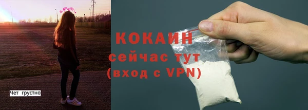 сатива Надым