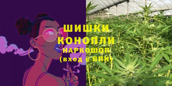 сатива Надым