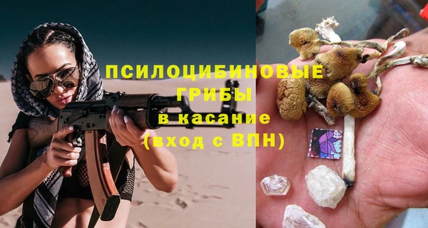 дурь Нестеровская