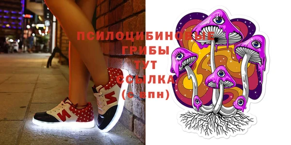 сатива Надым
