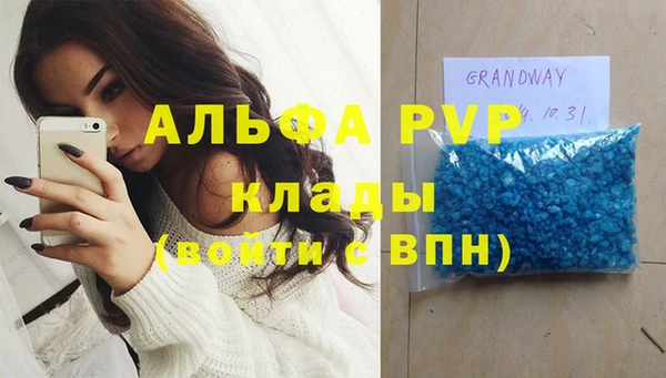 сатива Надым
