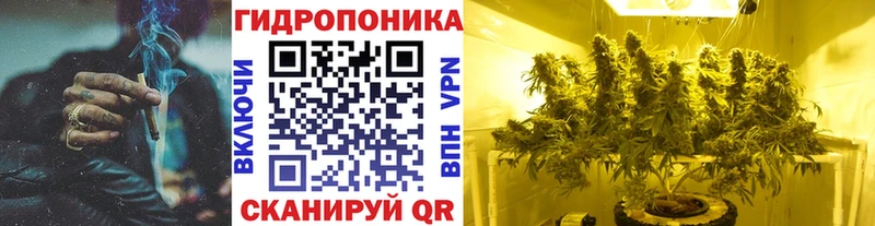 Канабис семена  наркошоп  Хадыженск 